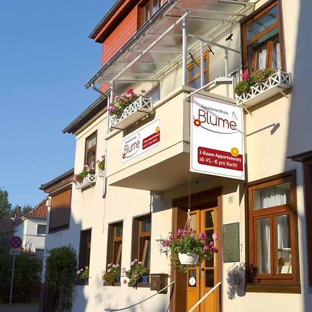 Appartementhaus Blume Bad Pyrmont Exterior photo